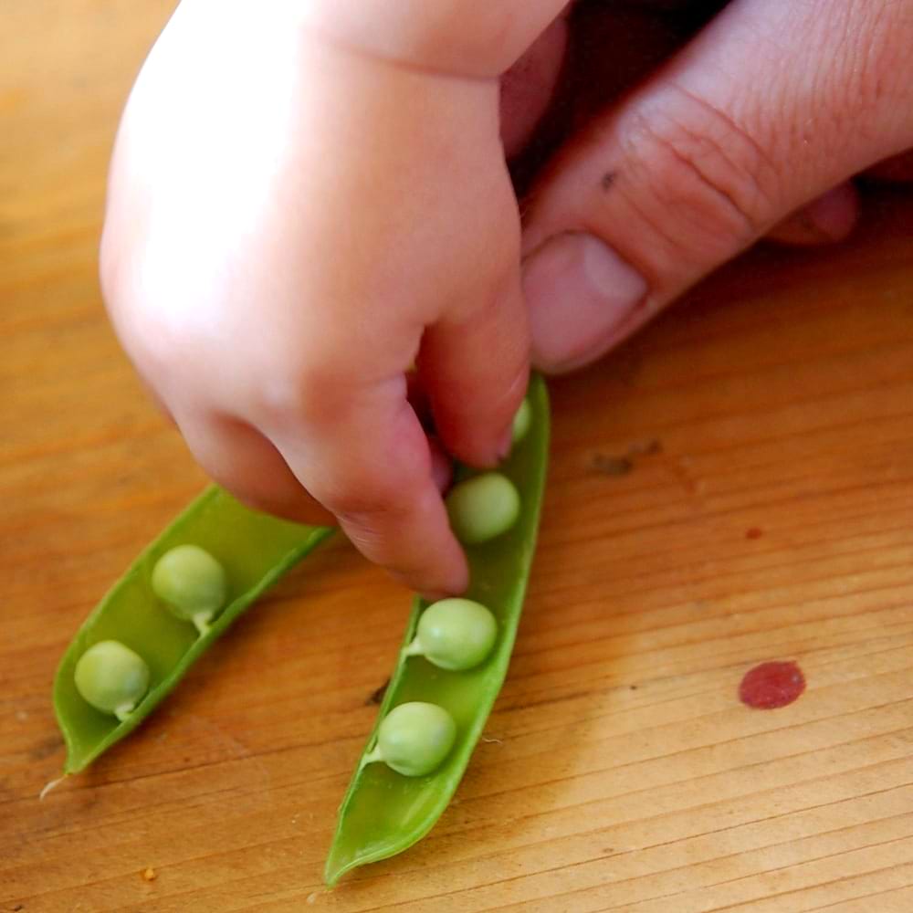 さやつきグリンピース　さやつき　グリンピース　【ふらかつ】