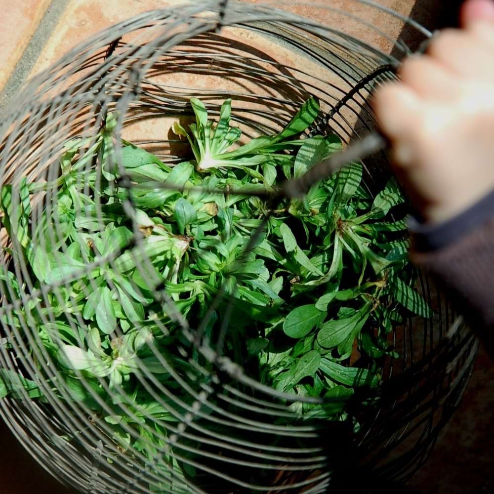 フランス　ヨーロッパ　アンティーク　サラダバスケット　針金【ふらかつ】1