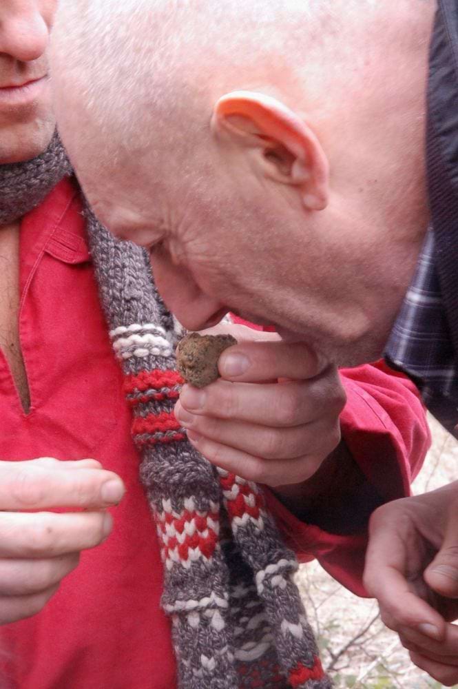 黒トリュフ 台所の宝石 黒いダイヤモンド 【ふらかつ】5